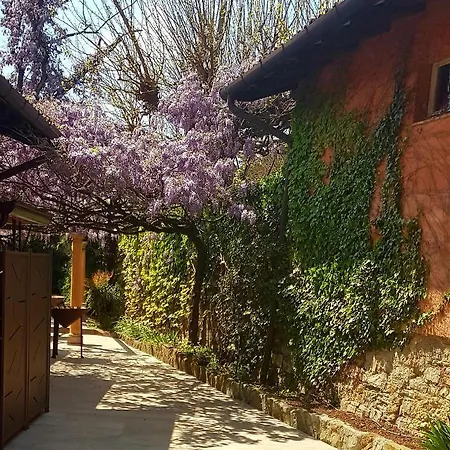 Bed & Breakfast Mulino Dell'abbazia Country